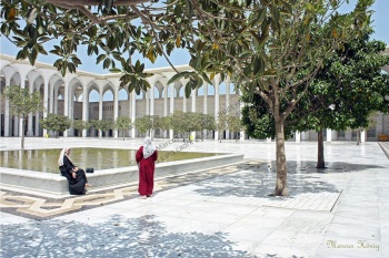 djamaa_el-djazair_esplanade_alger_photo_marcus_honig__tous_droits_reserves_web_1263225040